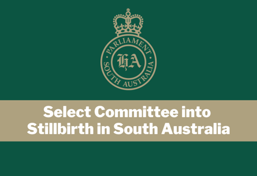 SC_into_Stillbirth_in_SA_Website_Graphic